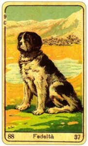 Zingara_22-181x300 Sibila Italiana - o Naipe de Copas